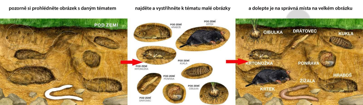 Betexa Začínáme vystřihovat - Na Louce