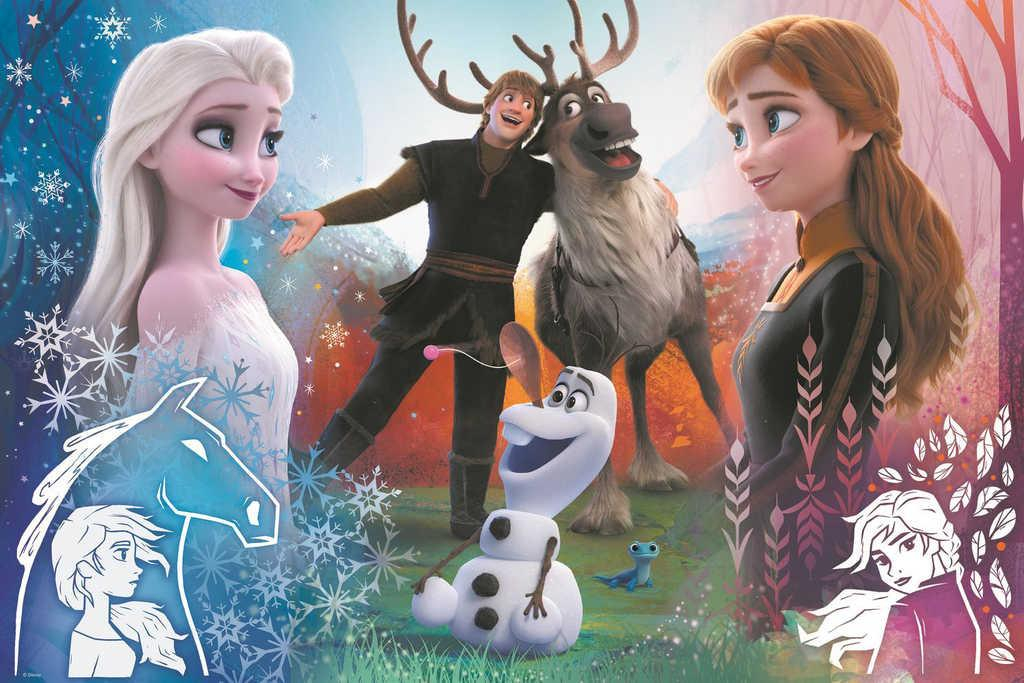 TREFL PUZZLE Frozen 2 Kouzelný čas 60x40cm 300 dílků skládačka