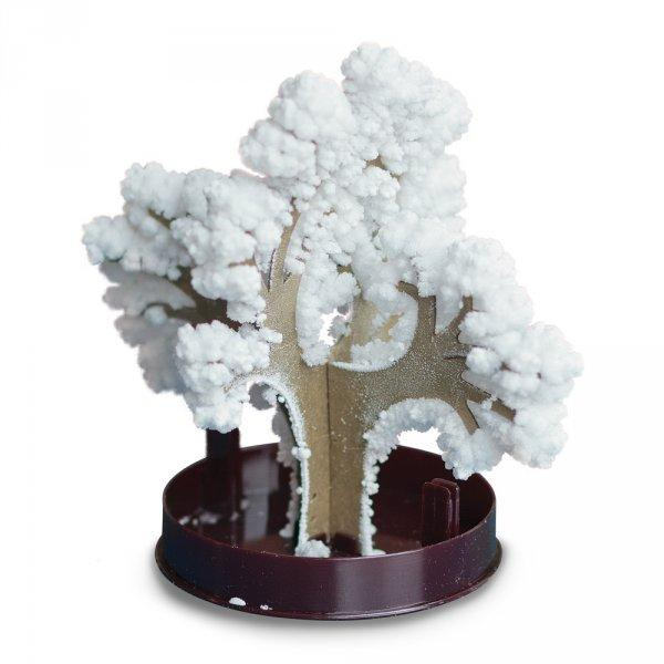 ds83968572_zimni_bonsai_zelena_1