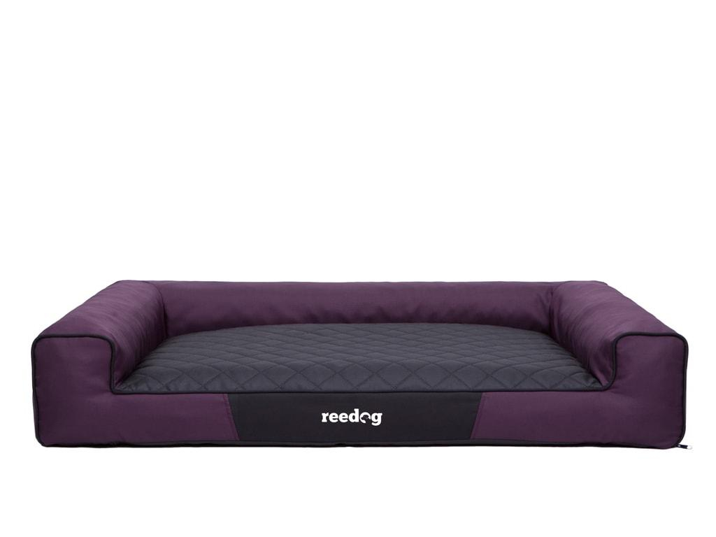 ds85214810_pelisek_pro_psa_reedog_purple_plain_xl_2